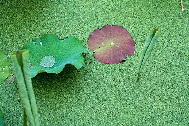 《怪物猎人：荒野》DLC不会有任何充钱变强的道具